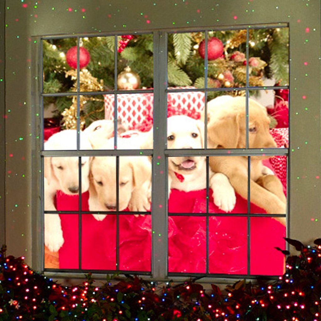Christmas Star Shower Window Wonderland